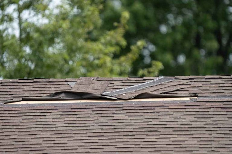 trusted roof replacement experts Charleston, SC