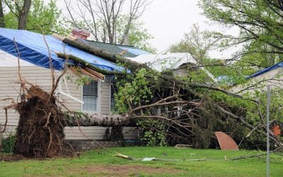 Windy Weather: How Fast Does Wind Have to Blow to Damage a Roof