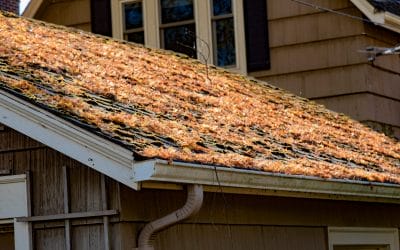 6 Tips to Help You Prepare Your Roof for Spring Weather in Bolton