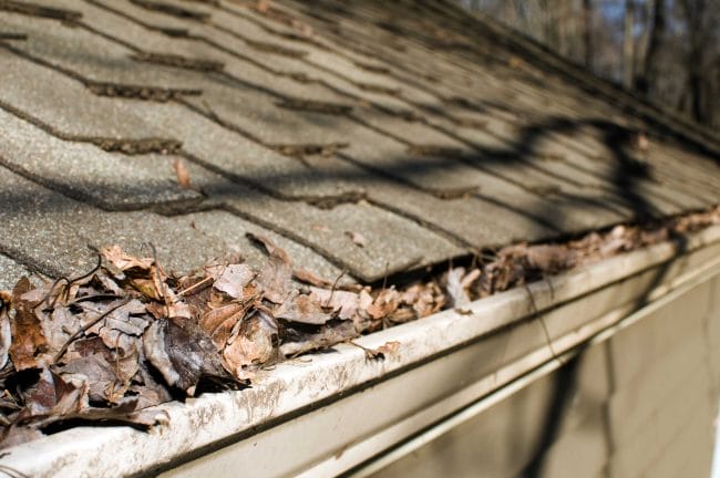 roof cleaning myths, roof cleaning facts